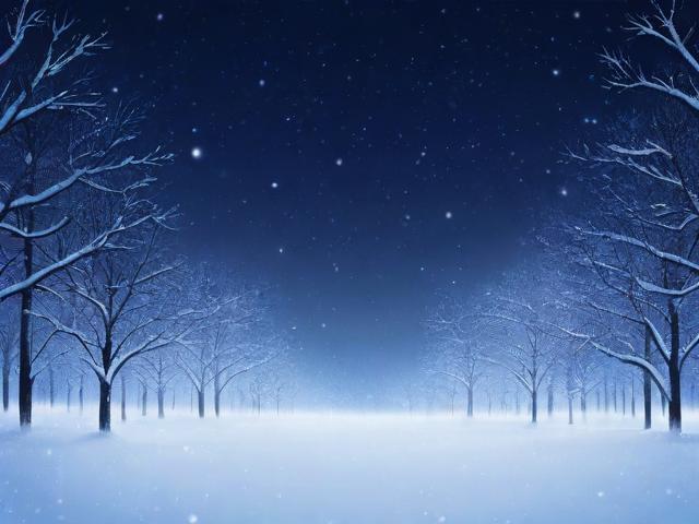 雪夜一夜物语(雪夜的温暖与思索)