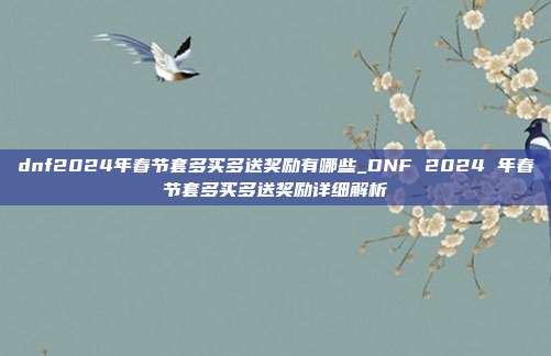 dnf2024年春节套多买多送奖励有哪些_DNF 2024 年春节套多买多送奖励详细解析