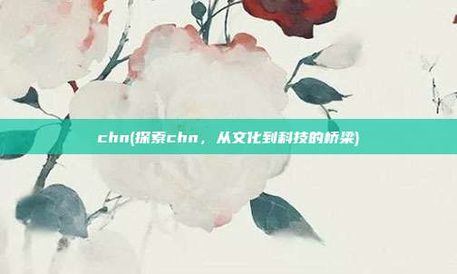 chn(探索chn，从文化到科技的桥梁)