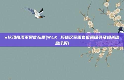 wlk玛格汉军需官在哪(WLK 玛格汉军需官位置探寻及相关信息详解)